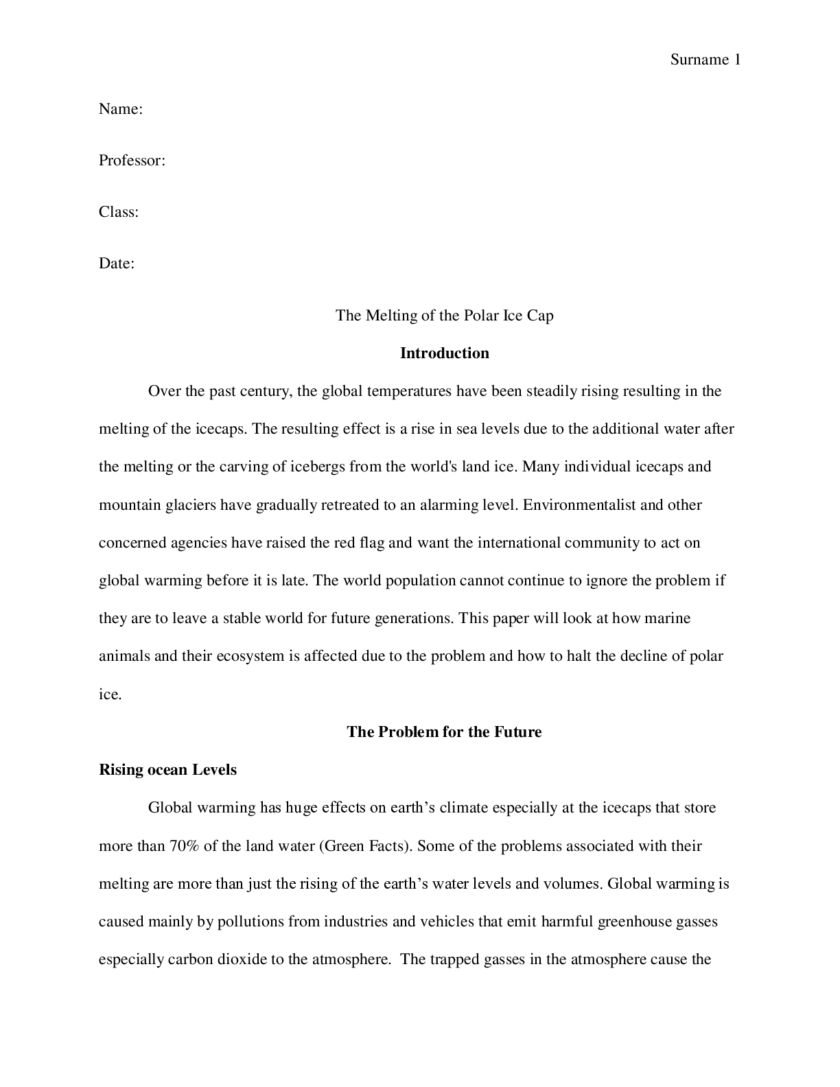 Preview image for The Melting of the Polar Ice Cap and the potential problems for the future